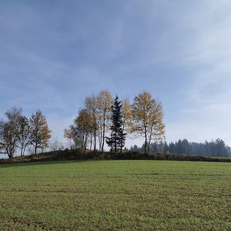 Kindererlebnis- und Biobauernhof Hipp-Bruckner Wornharts Exterior foto