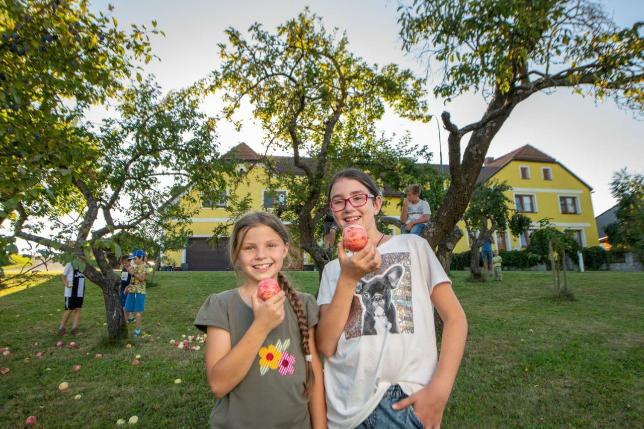 Kindererlebnis- und Biobauernhof Hipp-Bruckner Wornharts Exterior foto